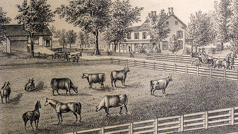 普拉特农场，大约1875年